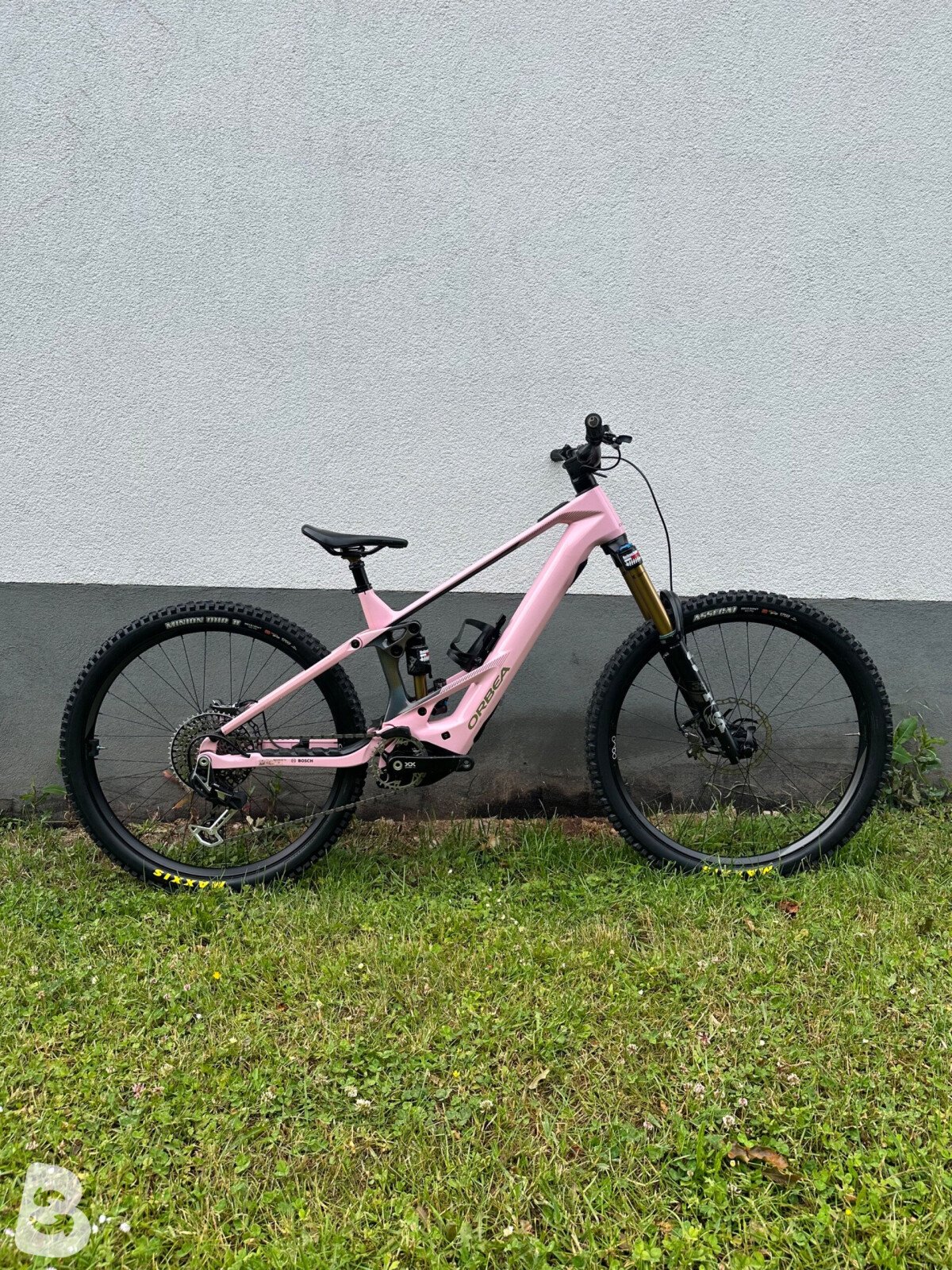 Orbea Wild M-LTD 2025