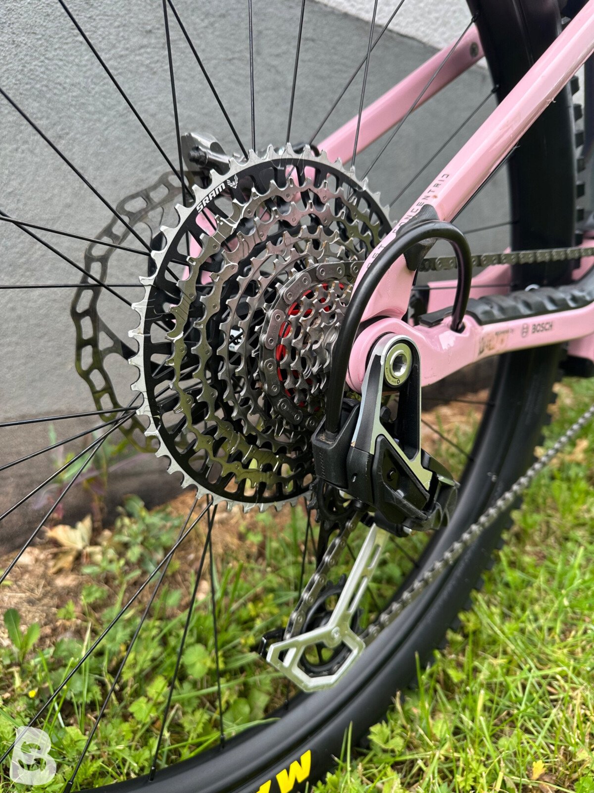 Orbea Wild M-LTD 2025
