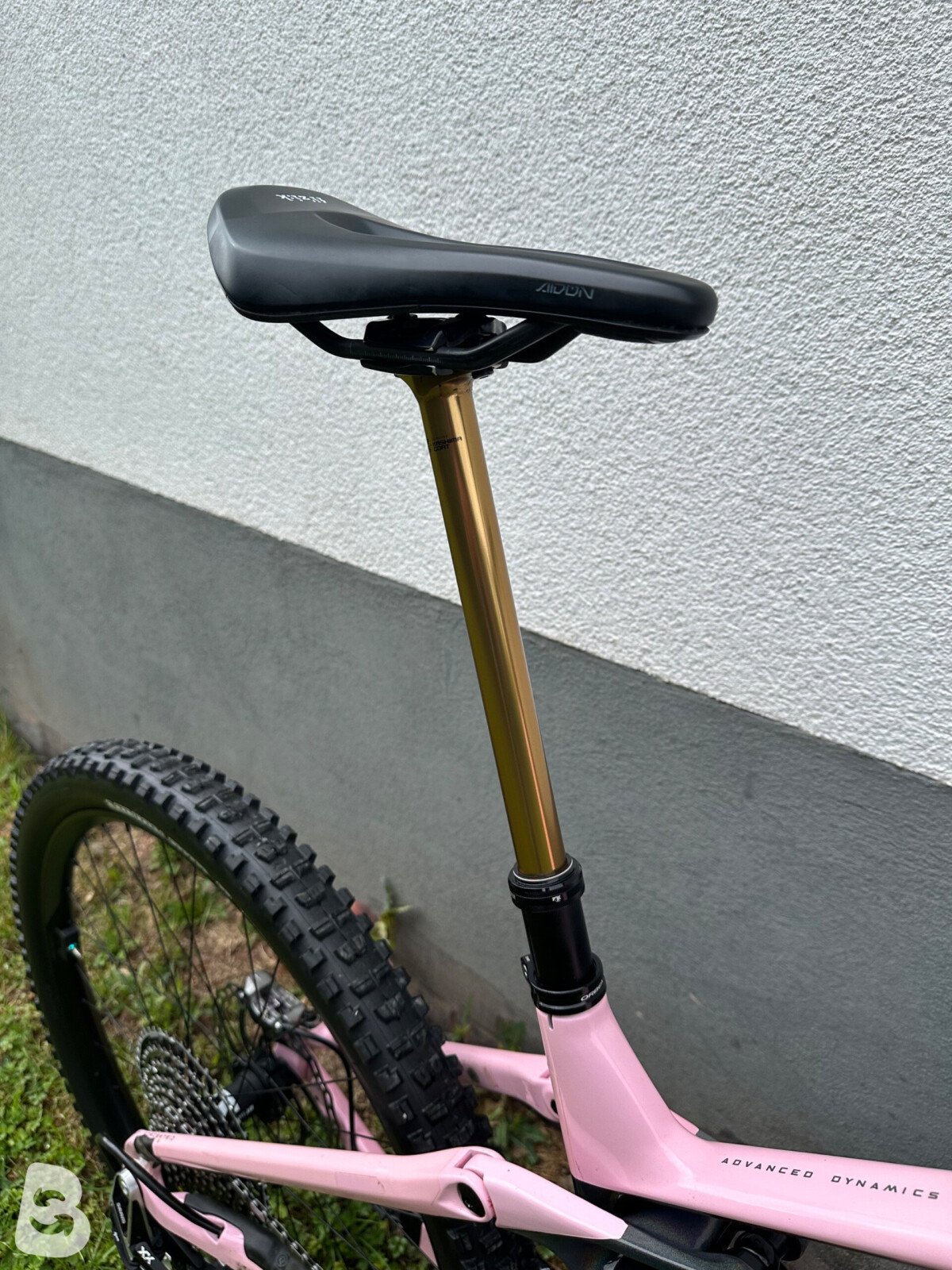 Orbea Wild M-LTD 2025