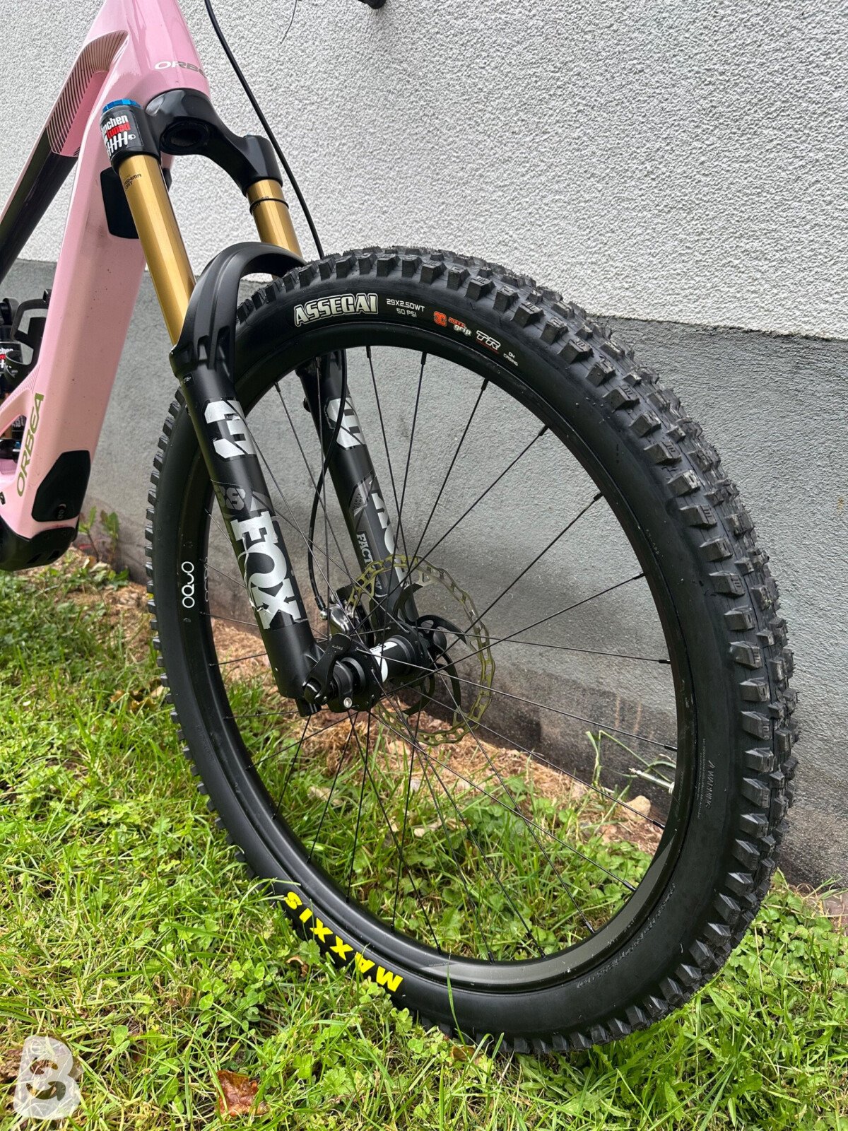 Orbea Wild M-LTD 2025