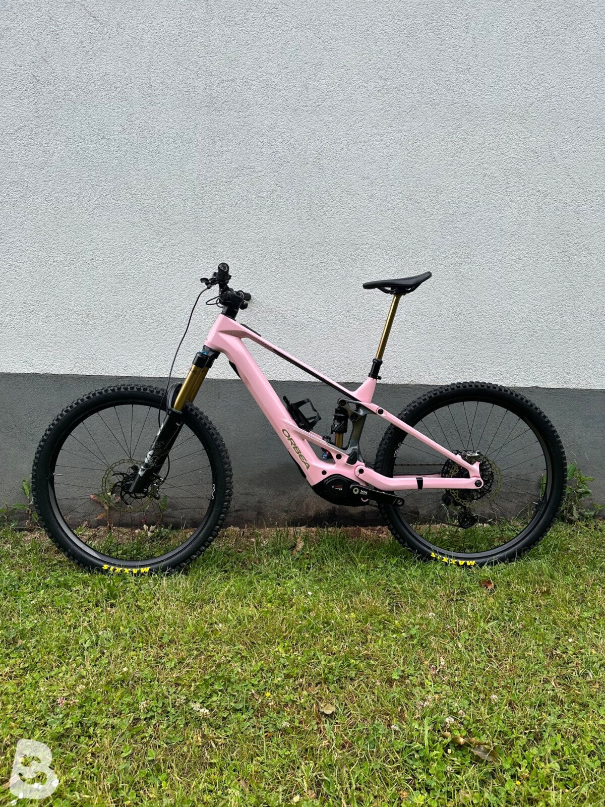 Orbea Wild M-LTD 2025