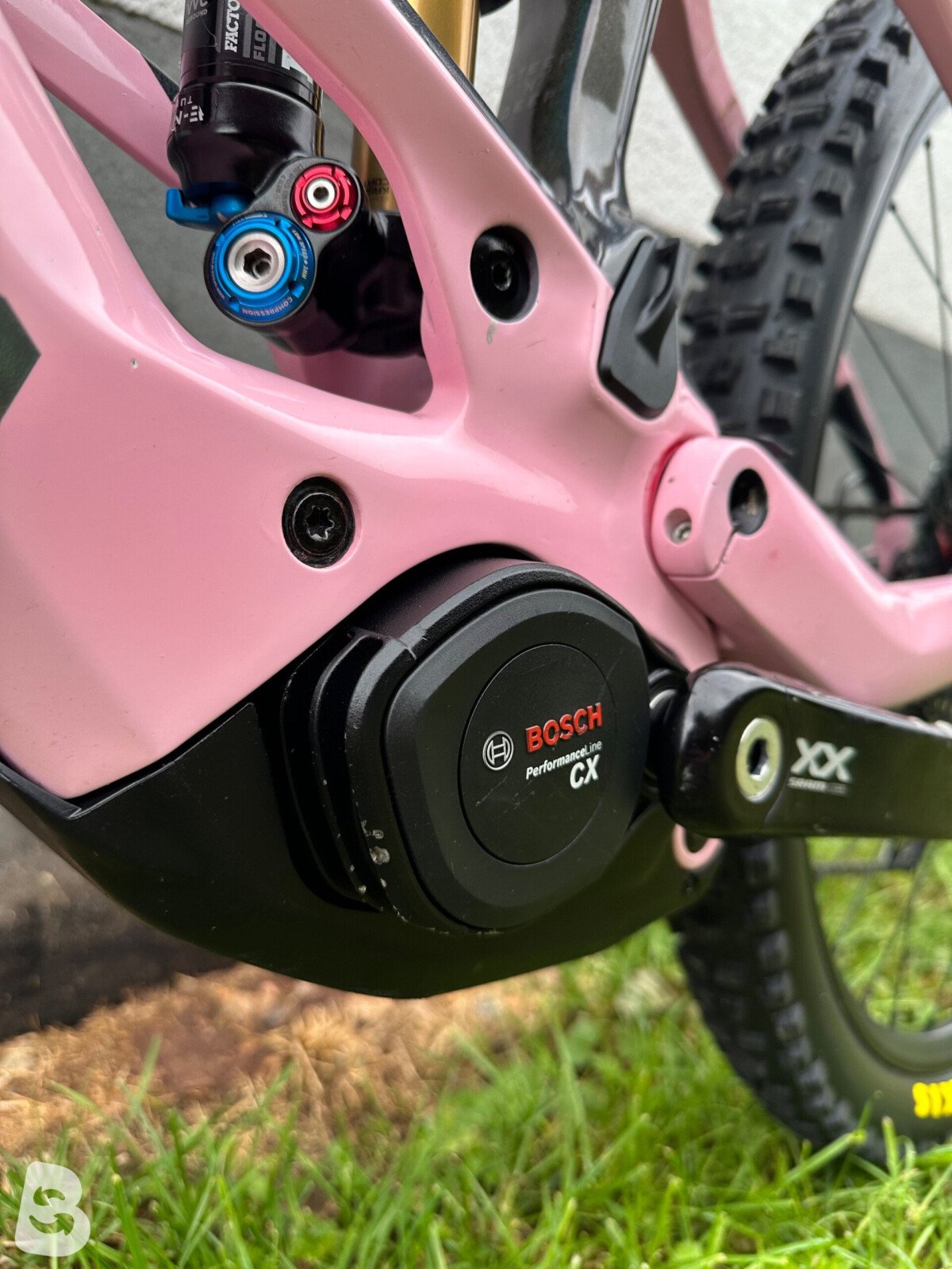 Orbea Wild M-LTD 2025