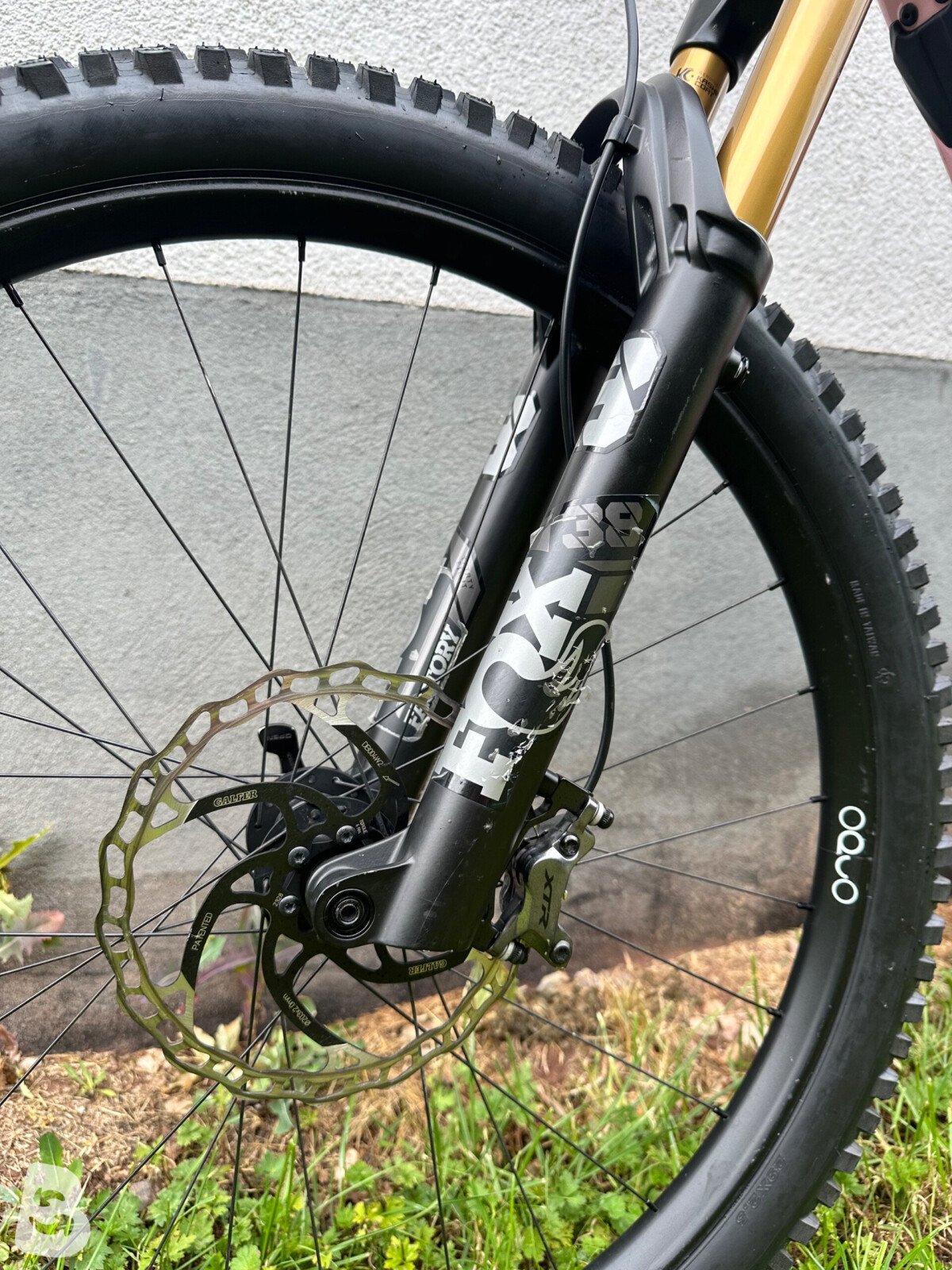Orbea Wild M-LTD 2025