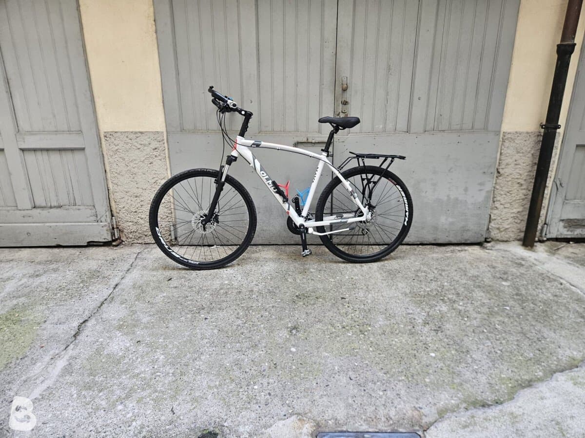 Olmo nava 2016