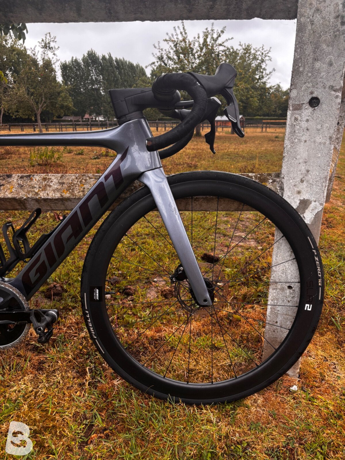 Giant Propel, Advanced Disc 1 2022