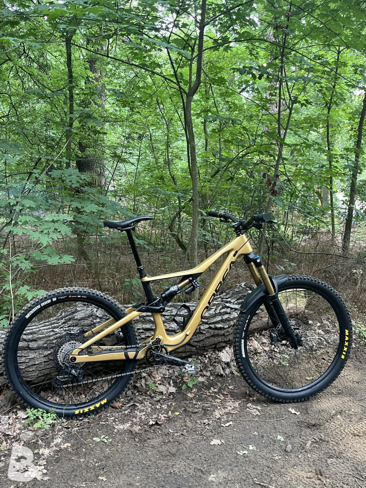 Orbea RALLON M-TEAM 2023