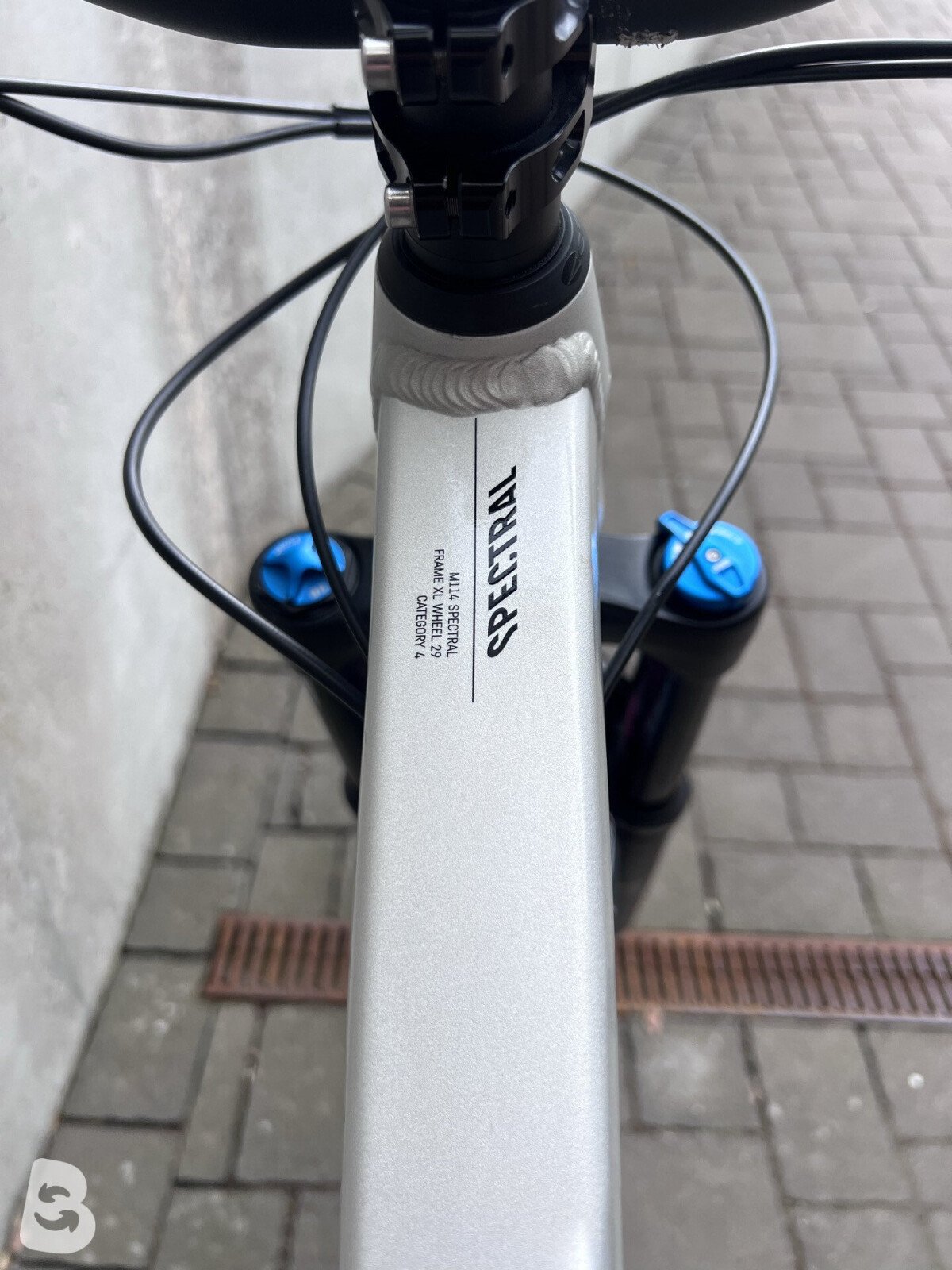 Canyon Canyon Spectral AL 5.0 2022