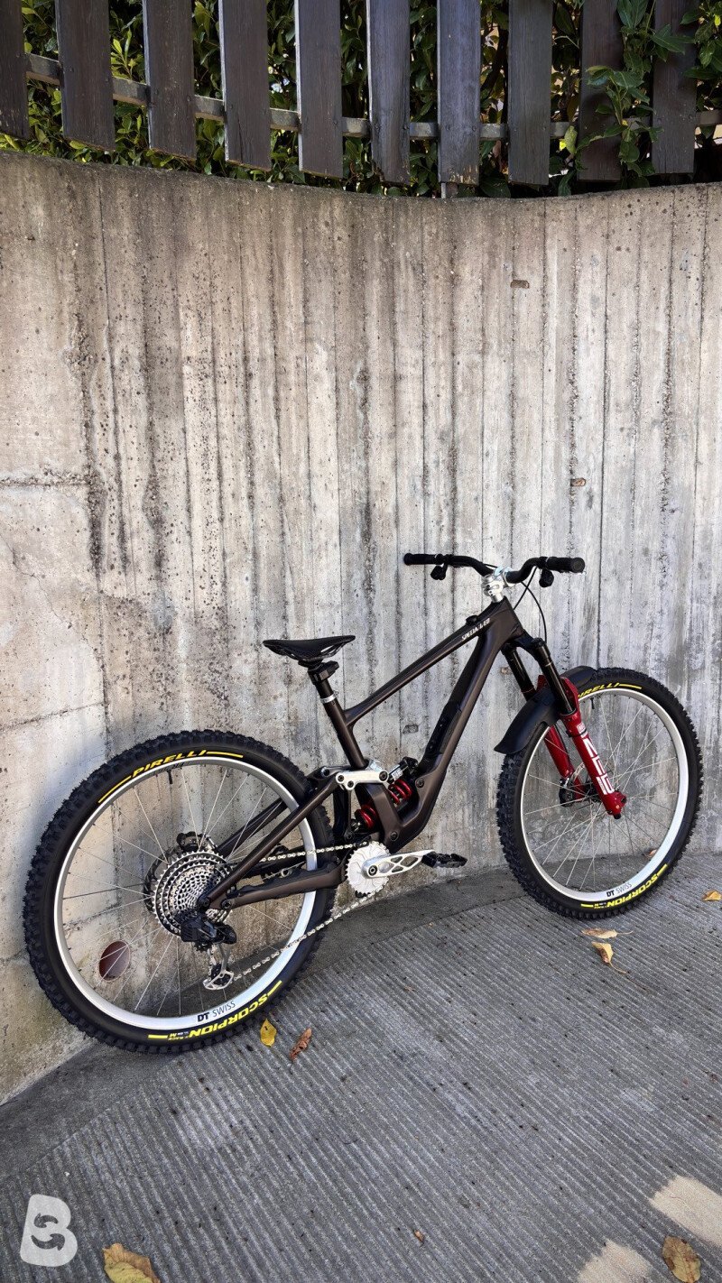 Specialized Enduro custom 2022