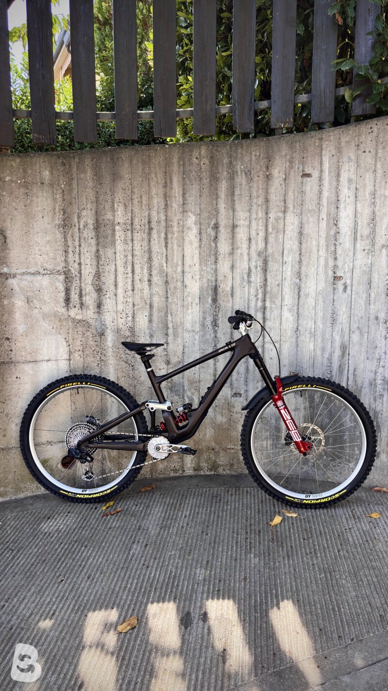 Specialized Enduro custom 2022