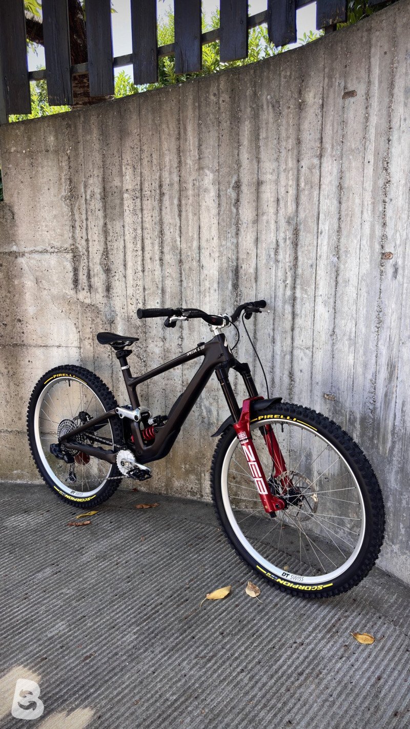 Specialized Enduro custom 2022