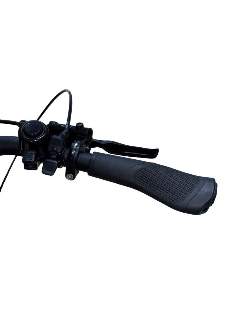 Bergamont E-Horizon Premium Pro Belt Enviolo 2024