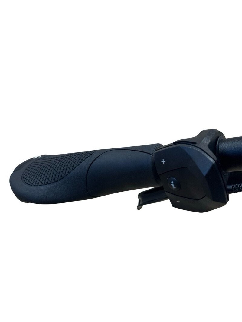 Kettler Quadriga T&C Pro Belt Shimano Nexus 2022