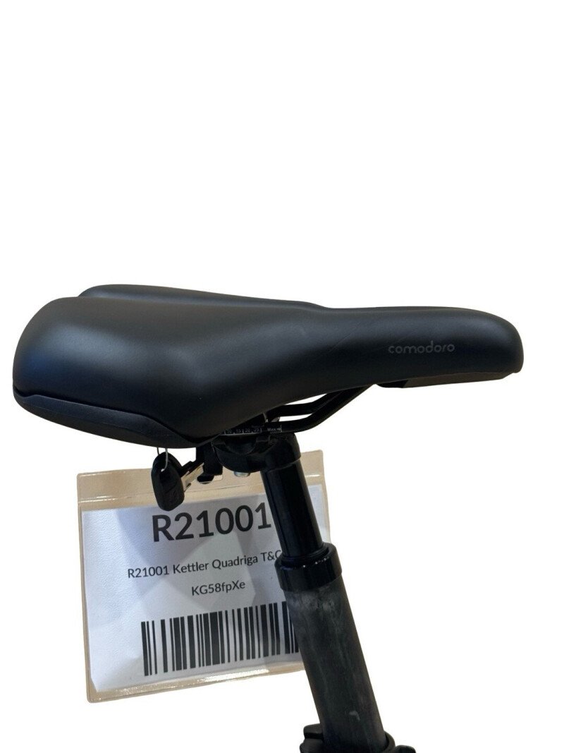 Kettler Quadriga T&C Pro Belt Shimano Nexus 2022