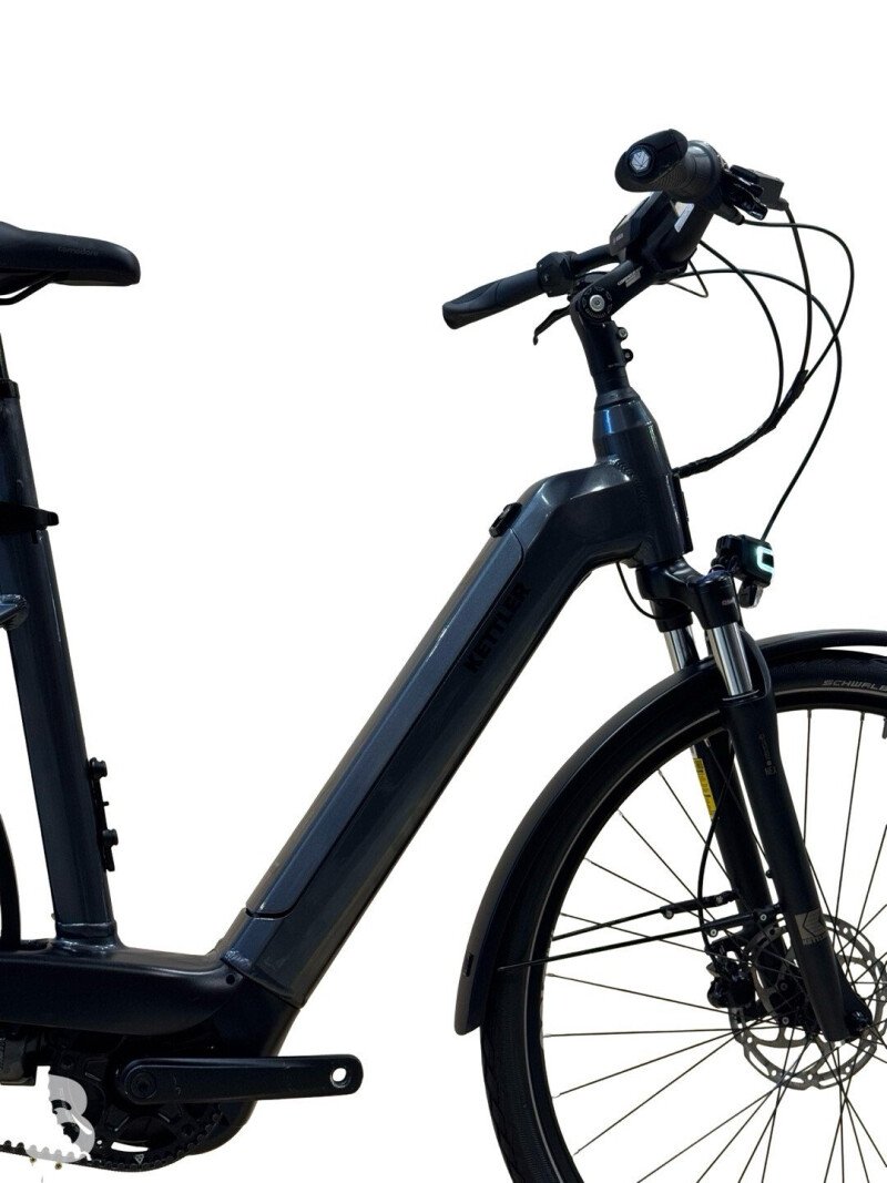 Kettler Quadriga T&C Pro Belt Shimano Nexus 2022