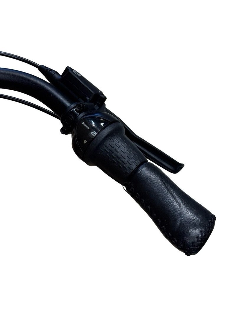 Gazelle Avignon C8 HMB Shimano Nexus 2023