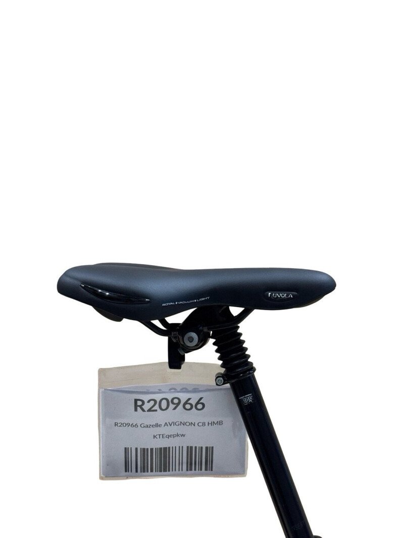 Gazelle Avignon C8 HMB Shimano Nexus 2023