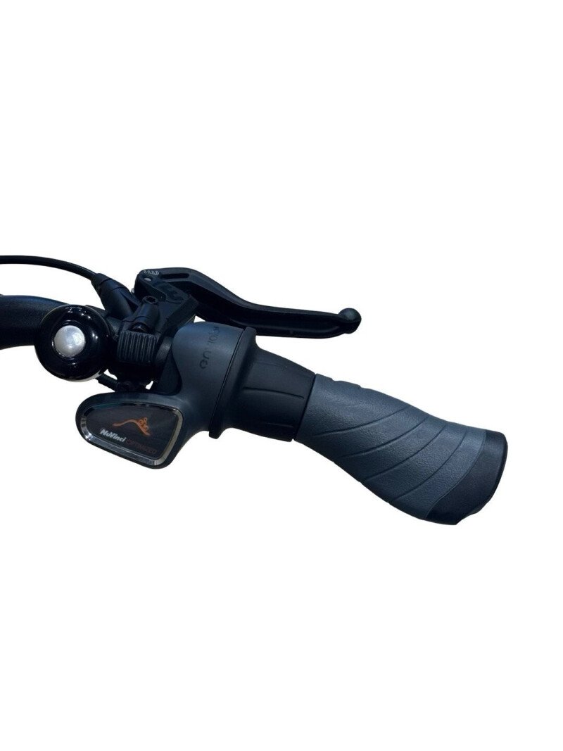 Riese & Müller Charger3 Mixte GT Vario Enviolo 2022
