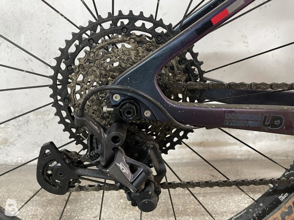 Rebel Carbon Assemblata 2024