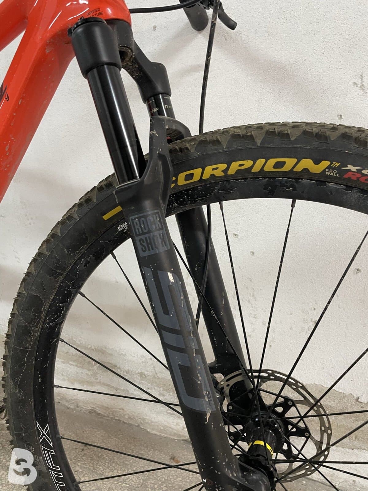 Rebel Carbon Assemblata 2024