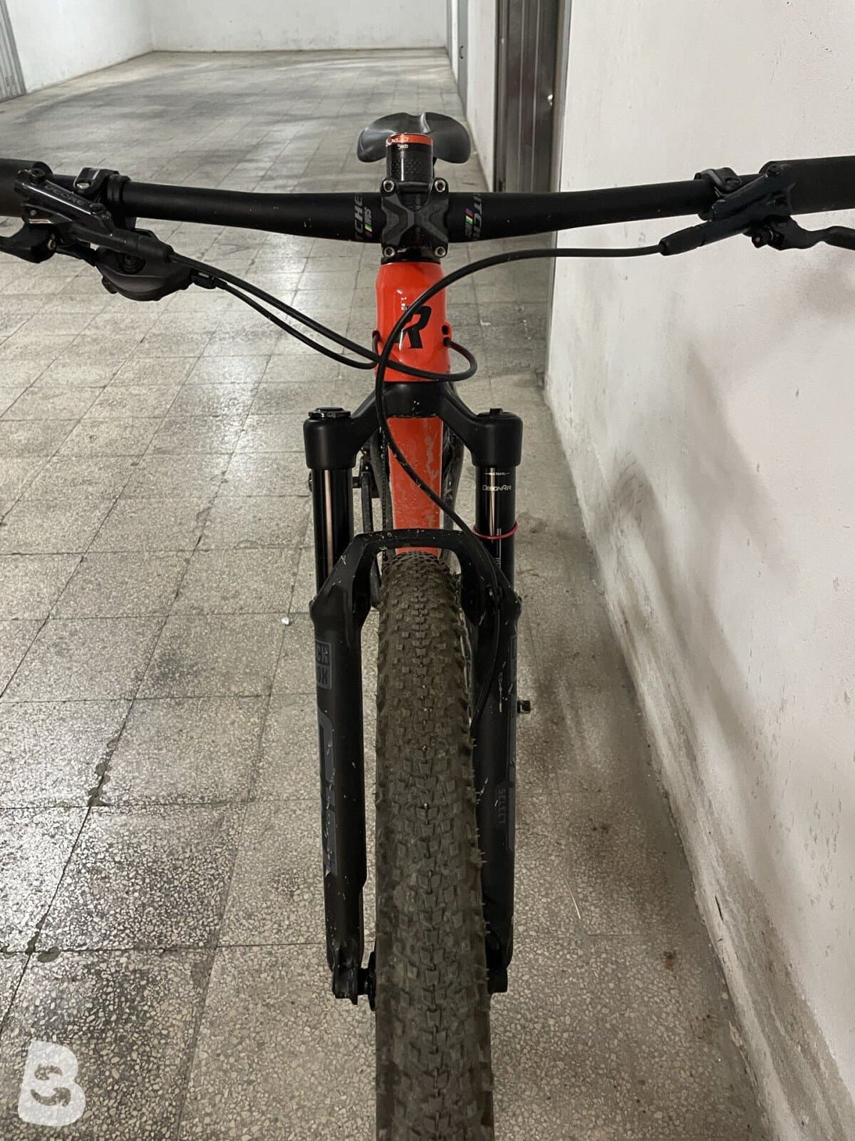 Rebel Carbon Assemblata 2024