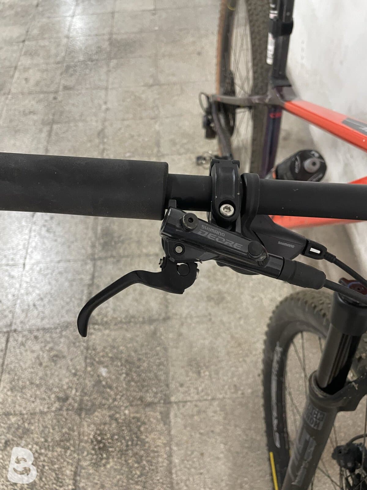 Rebel Carbon Assemblata 2024