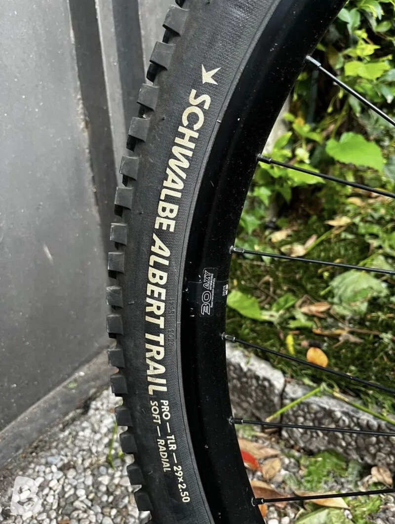 Transition SENTINEL ALLOY XT 2024