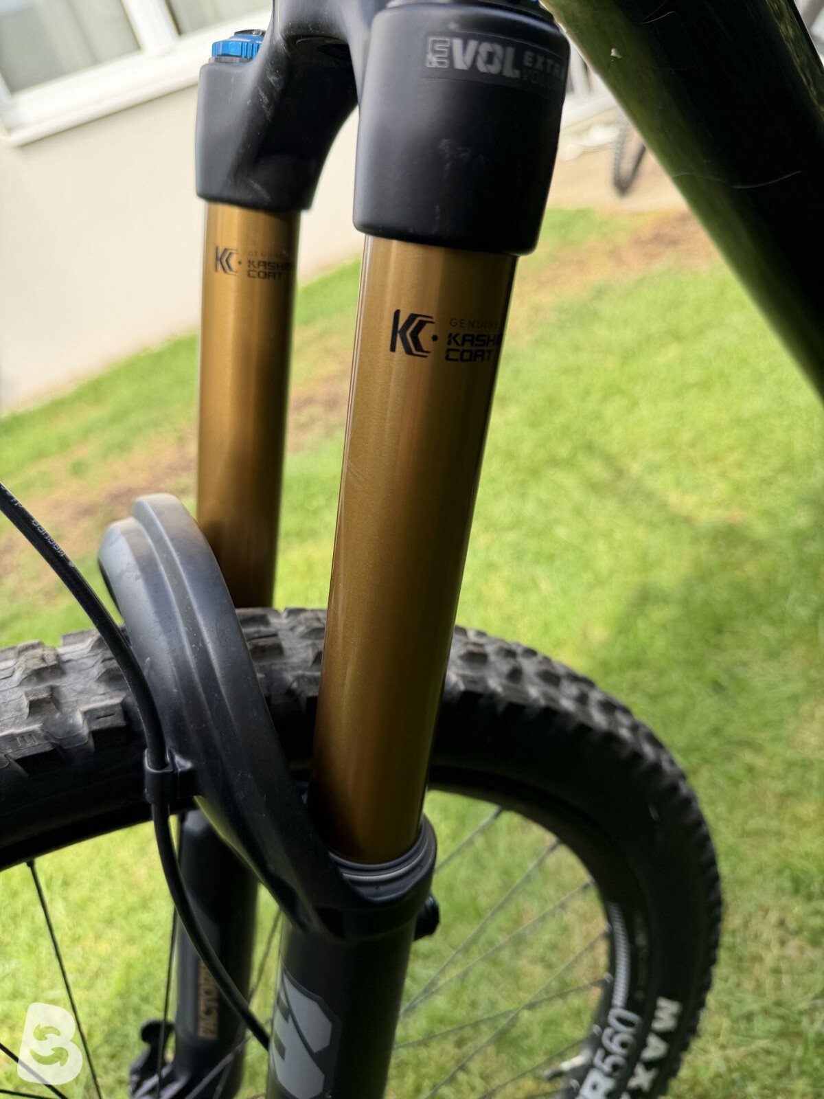 Canyon Torque Mullet CF 9 2022