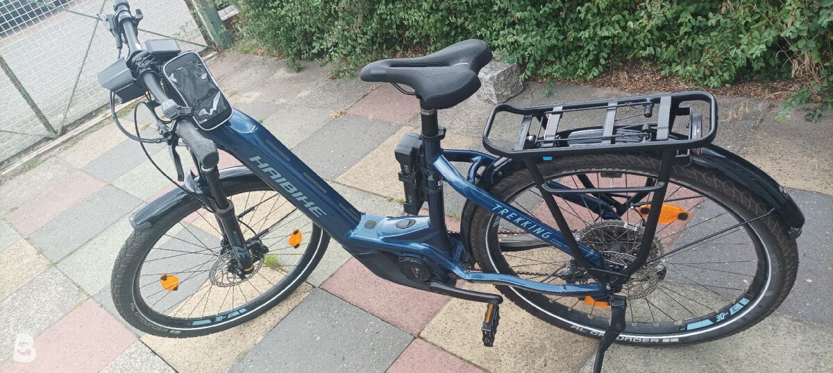Haibike SDURO Trekking 8.0 Lowstandover 2020