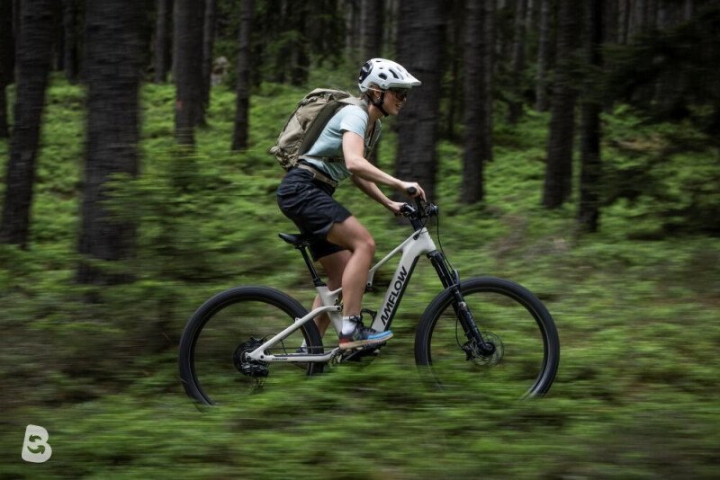 AMFLOW TL Carbon 2027