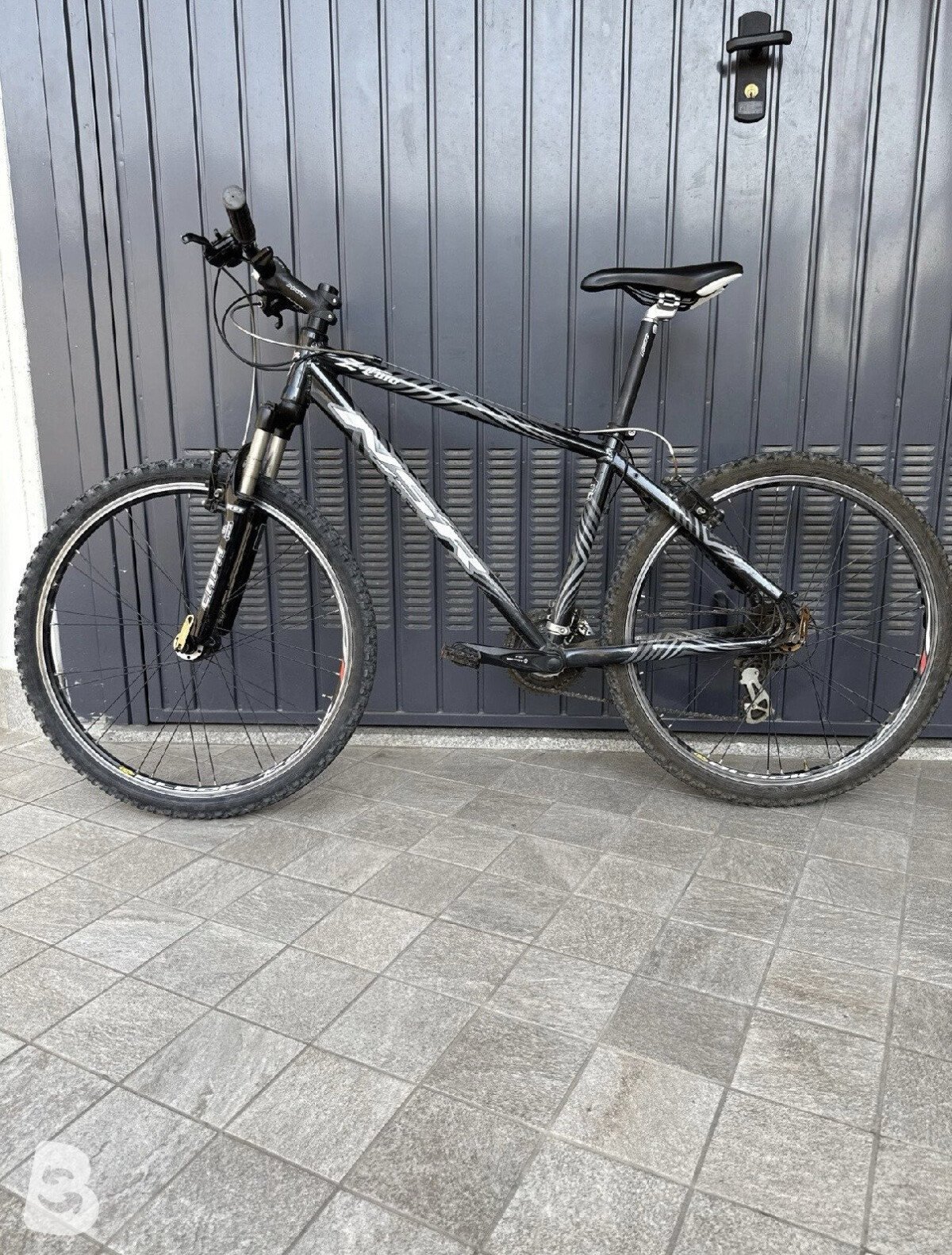 Nuzzi Z-Two 2000