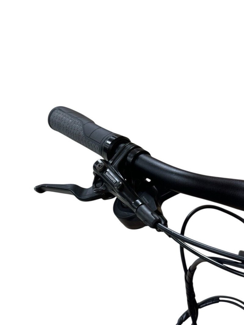 Flyer Gotour 6 7.10 Shimano Deore 2020