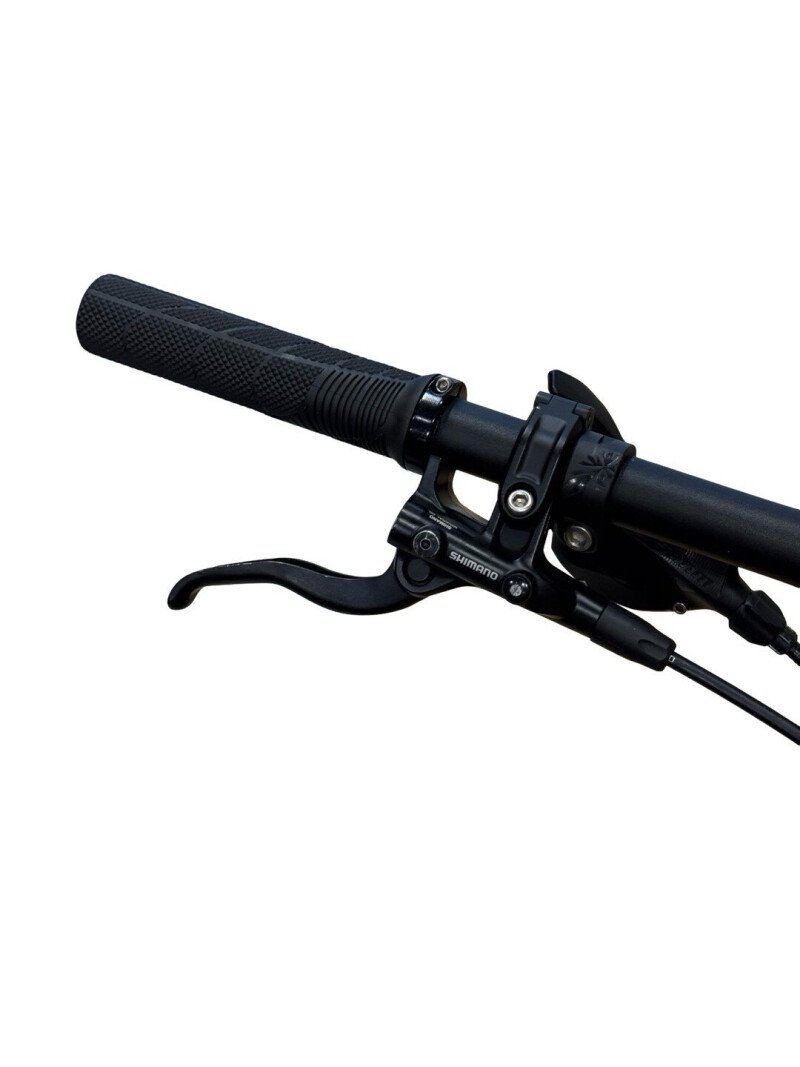 Bulls Wild Ronin 1 Carbon Sram SX 2021