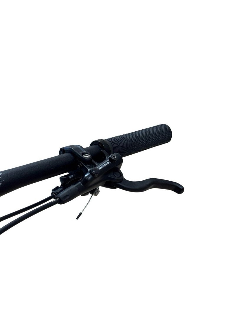 Bulls Wild Ronin 1 Carbon Sram SX 2021