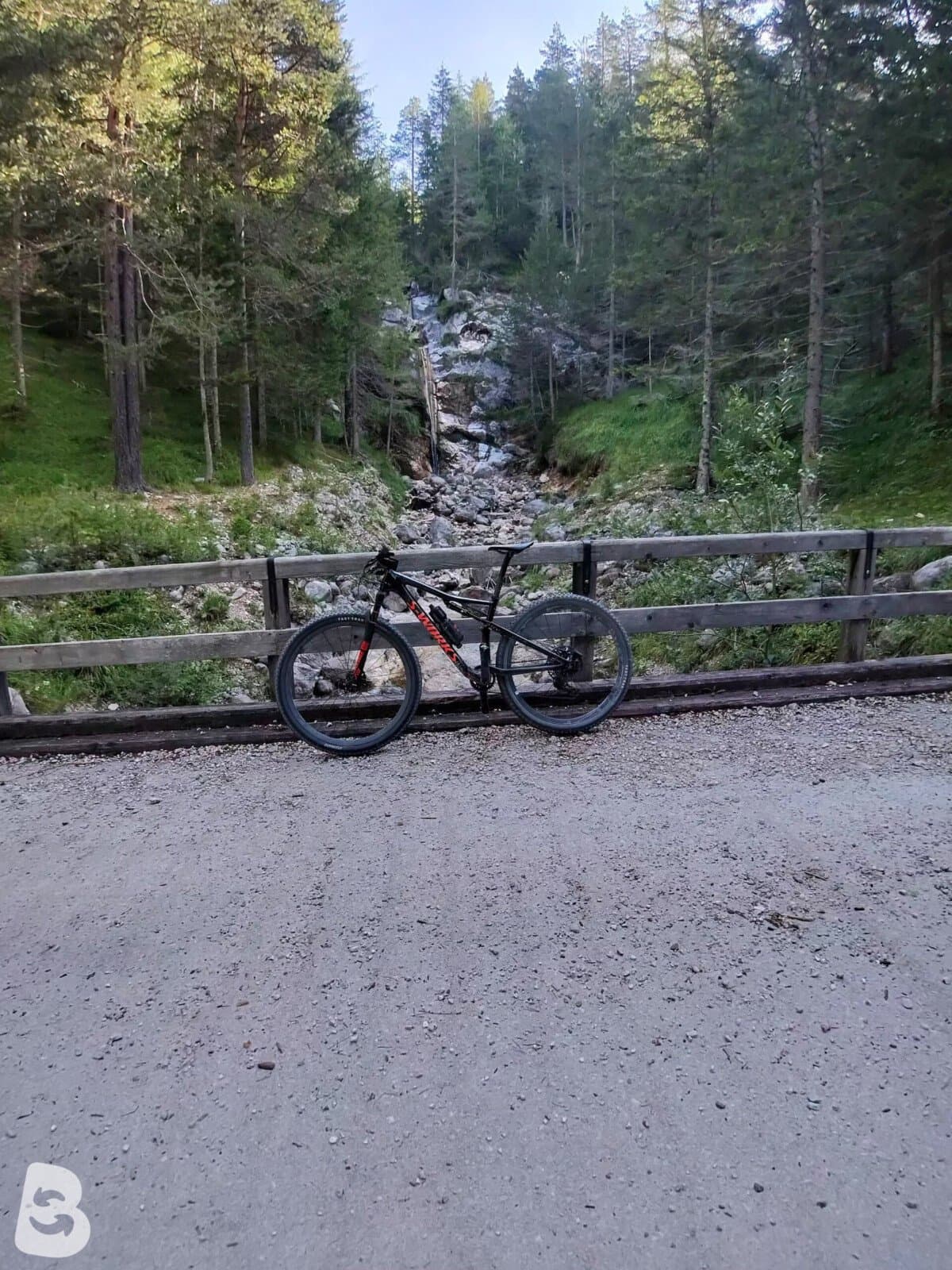 Specialized Epic swork 2019
