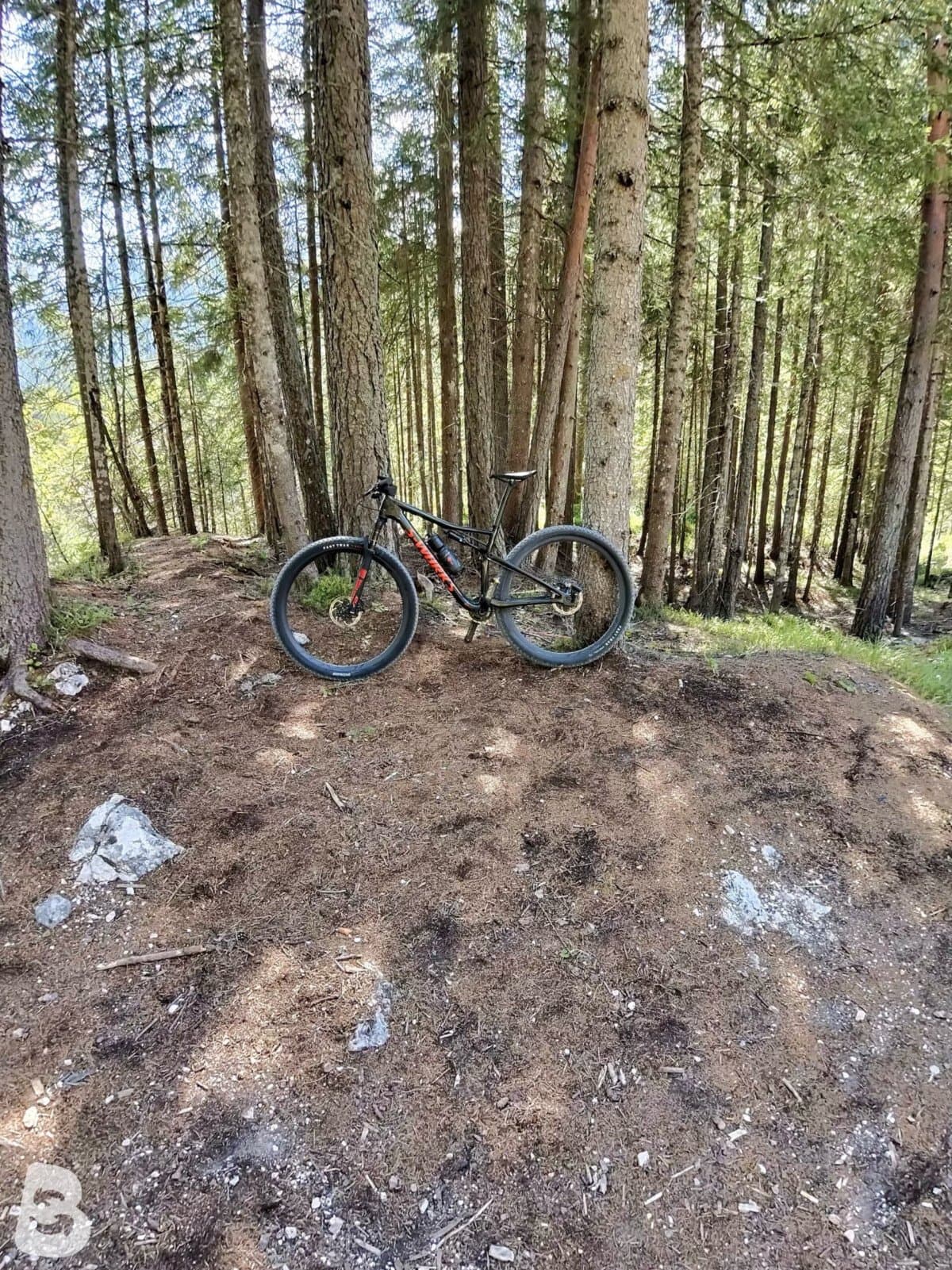 Specialized Epic swork 2019