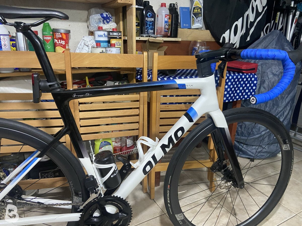 Olmo Nerax 2024