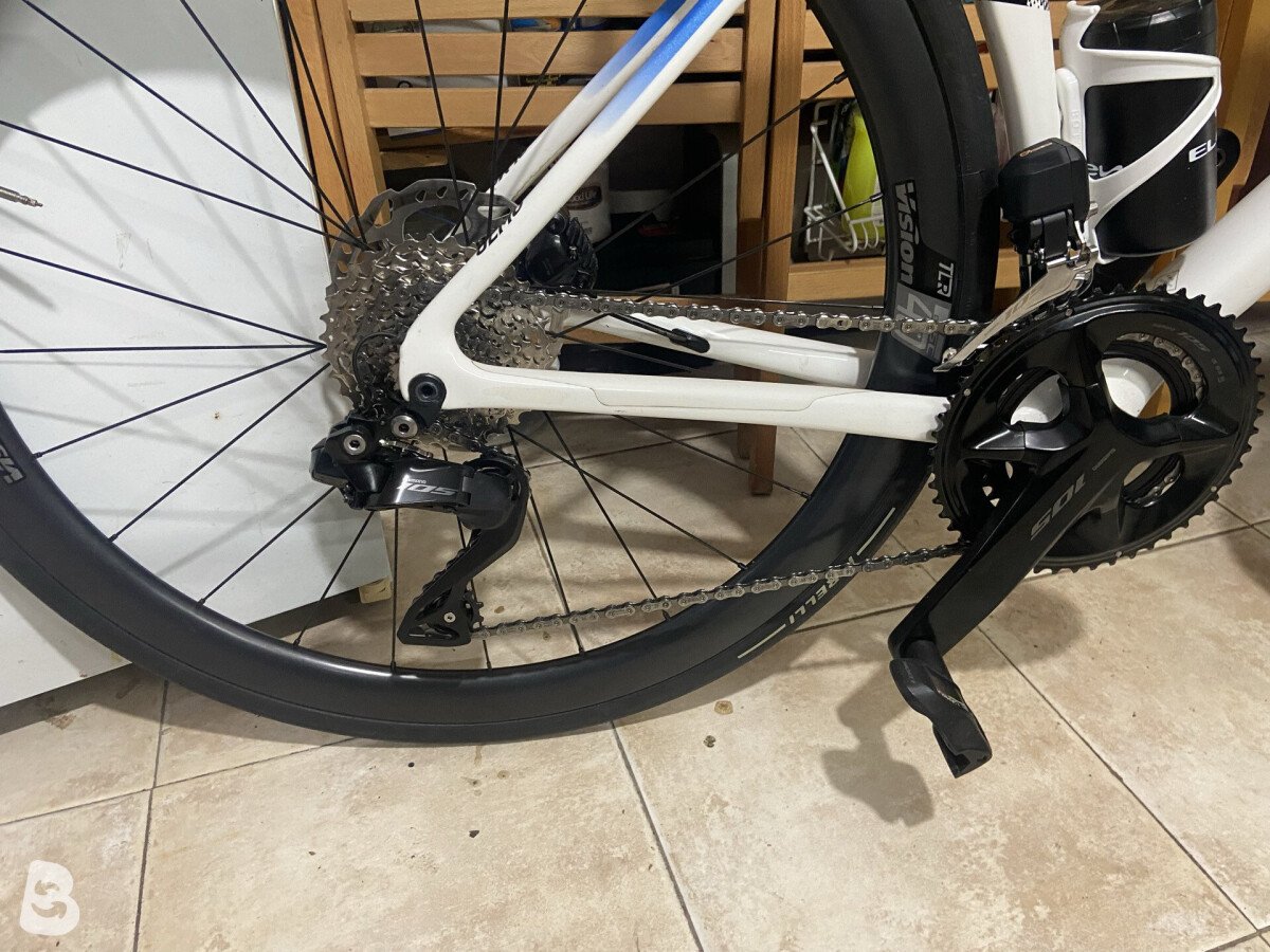 Olmo Nerax 2024
