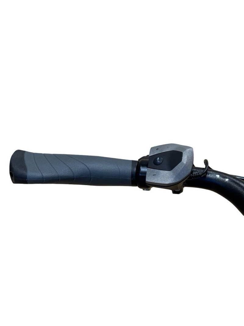 Winora Sinus R8 eco Shimano Nexus 2022