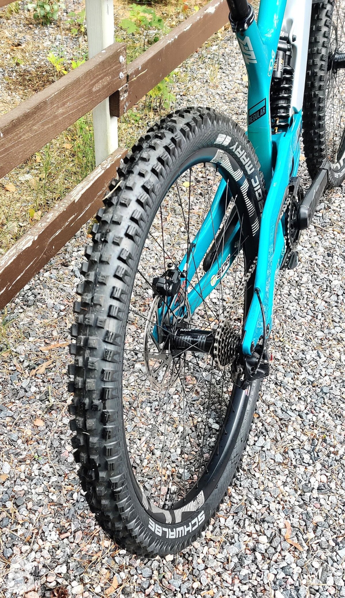 YT Industries Tues CF Pro Race 2019