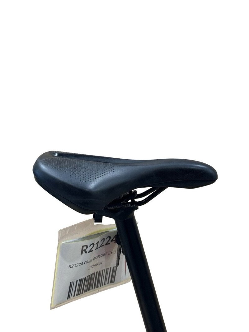 Giant Explore E+3 Shimano Alivio 2022