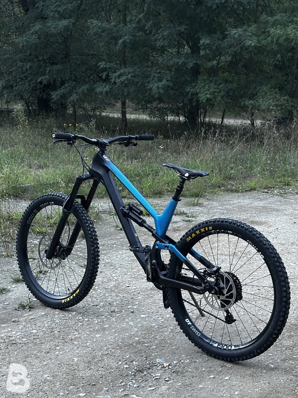 Canyon Torque CF 8.0 2018