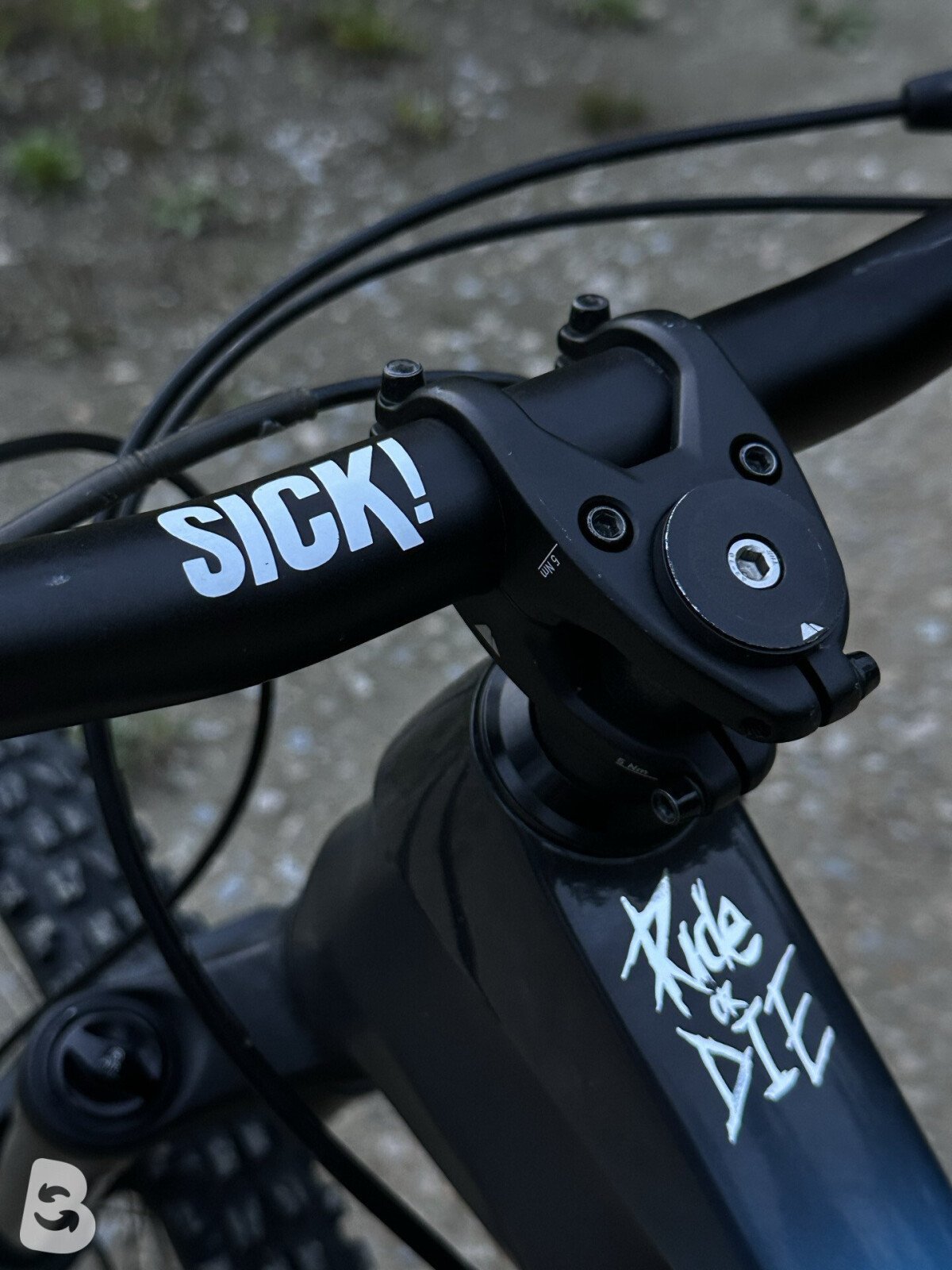 Canyon Torque CF 8.0 2018