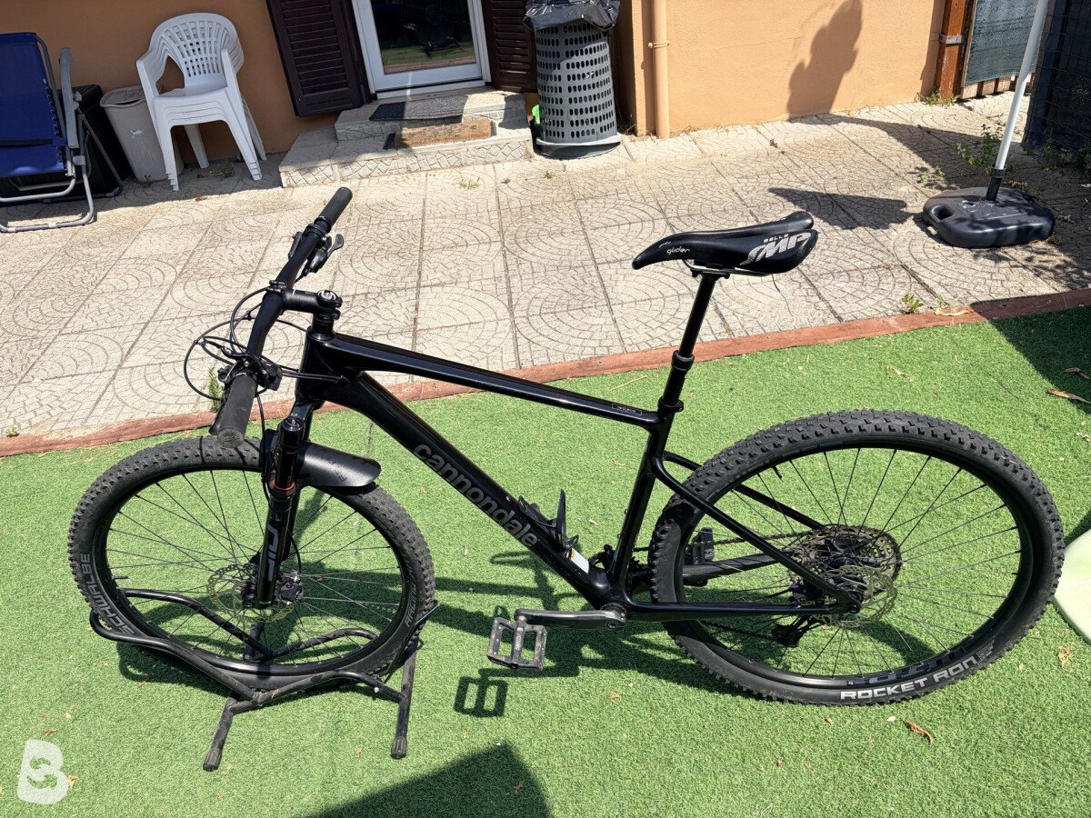 Cannondale Scalpel HT Carbon 4 2022