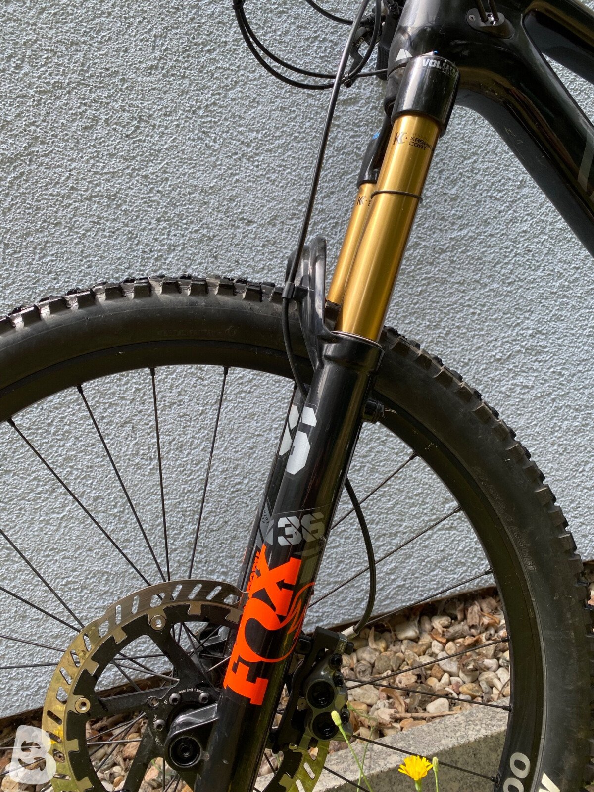 Canyon Spectral CF 7 2024