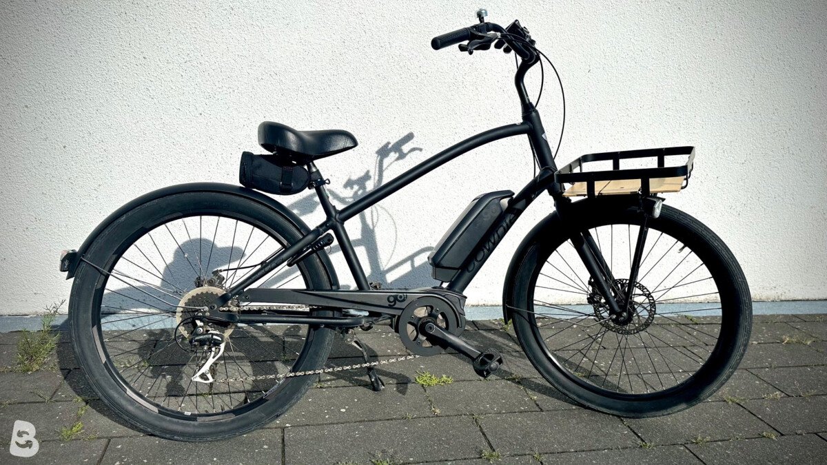 Electra Townie Go! 8D 2019