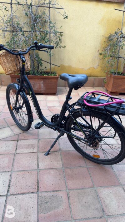 Torpado Gaia 2024