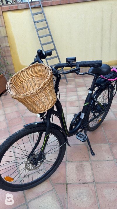 Torpado Gaia 2024