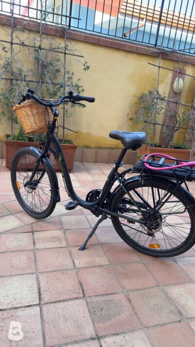 Torpado Gaia 2024