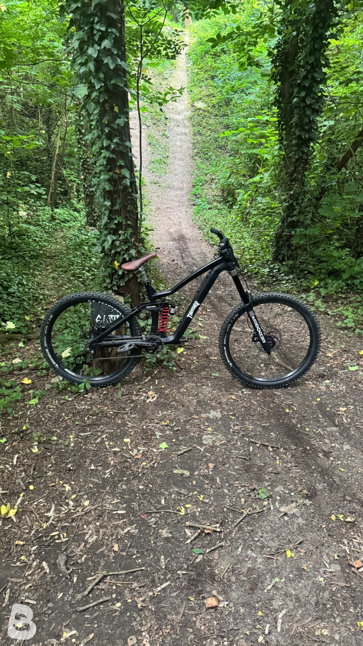 Dartmoor Thunderbird FR 2025