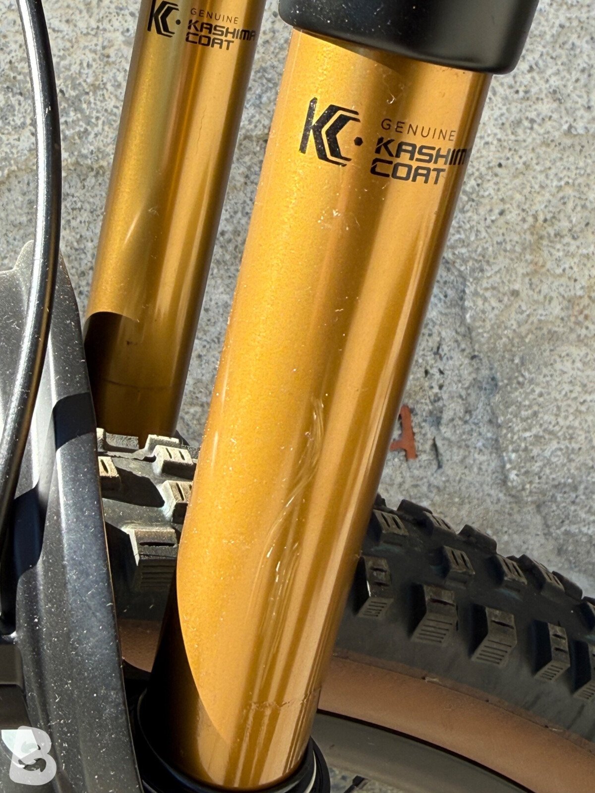 Canyon Neuron CF 9 SL 2022